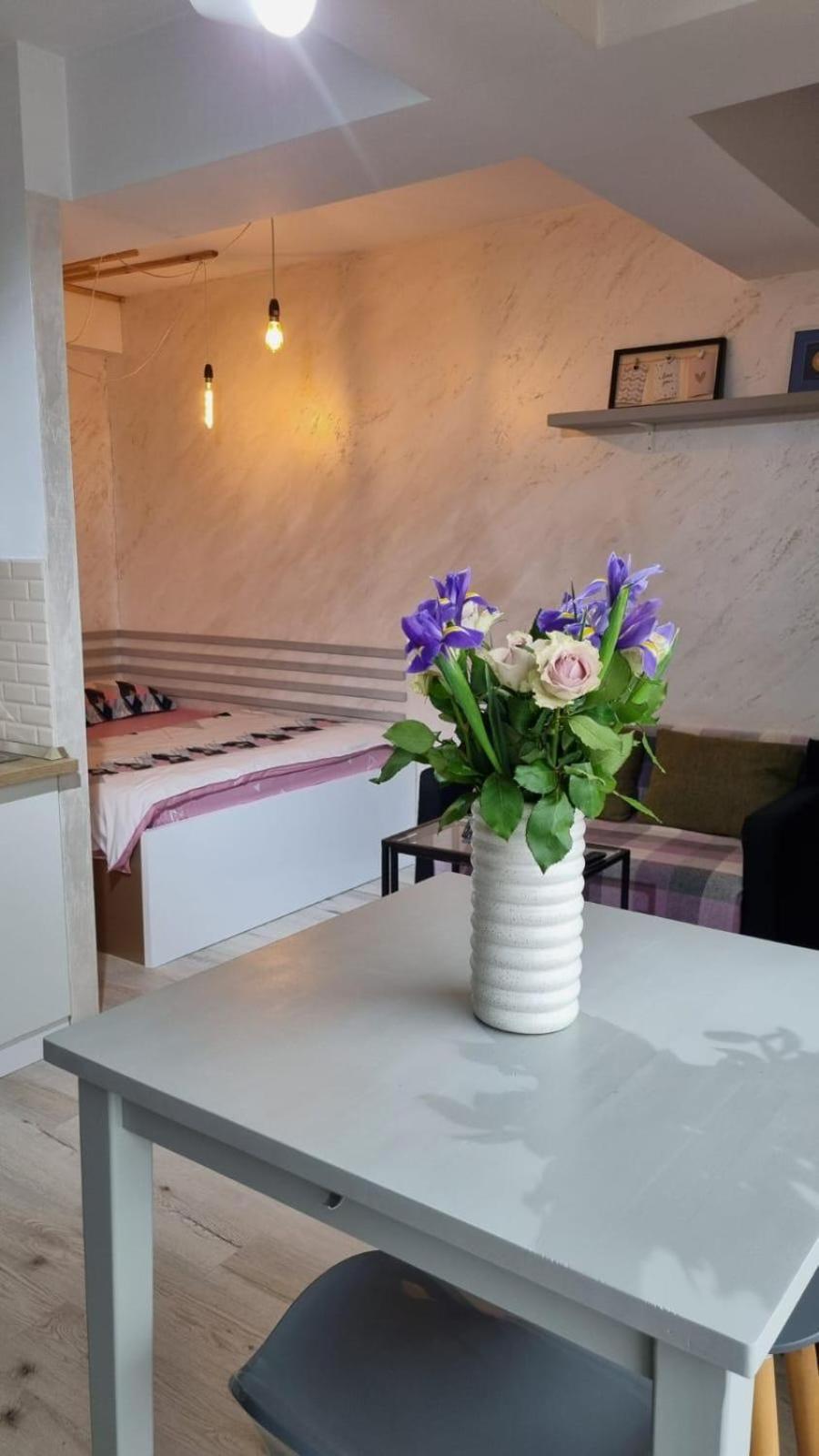 Teodoroiu Nr. 5 Aparthotel Craiova Kültér fotó